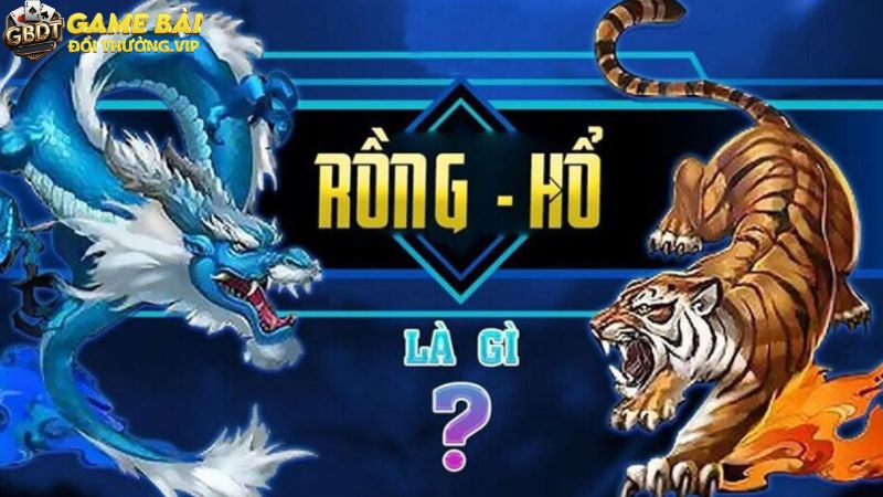 Một số thông tin tổng quan về Rồng Hổ online