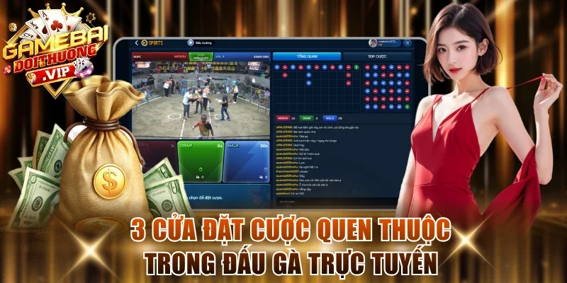 3 cửa đặt cược quen thuộc trong đấu gà trực tuyến