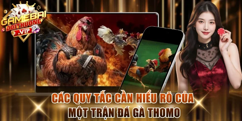 Các quy tắc cần hiểu rõ của một trận đá gà Thomo