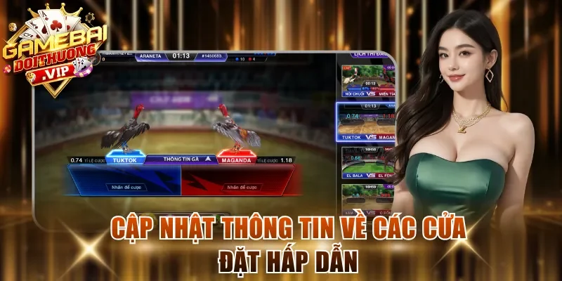Cập nhật thông tin về các cửa đặt hấp dẫn