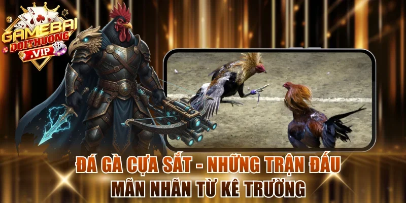Đá Gà Cựa Sắt