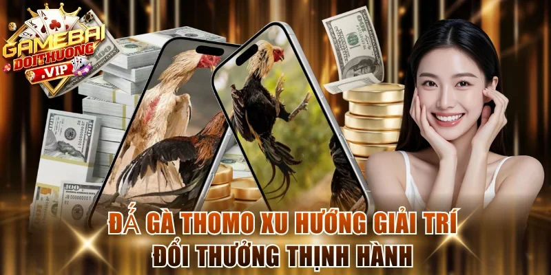 Đá Gà Thomo