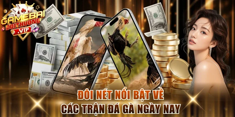 Đôi nét nổi bật về các trận đá gà ngày nay
