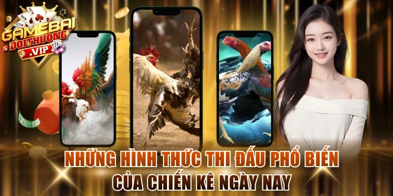 Những hình thức thi đấu phổ biến của chiến kê