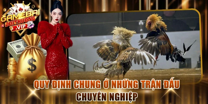 Quy định chung ở những trận đấu chuyên nghiệp