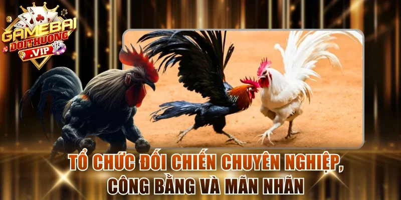 Tổ chức đối chiến chuyên nghiệp, công bằng và mãn nhãn